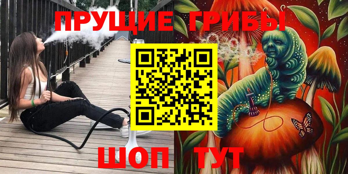 Моздок  Псилоцибиновые грибы GOLDEN TEACHER  Вход с VPN 